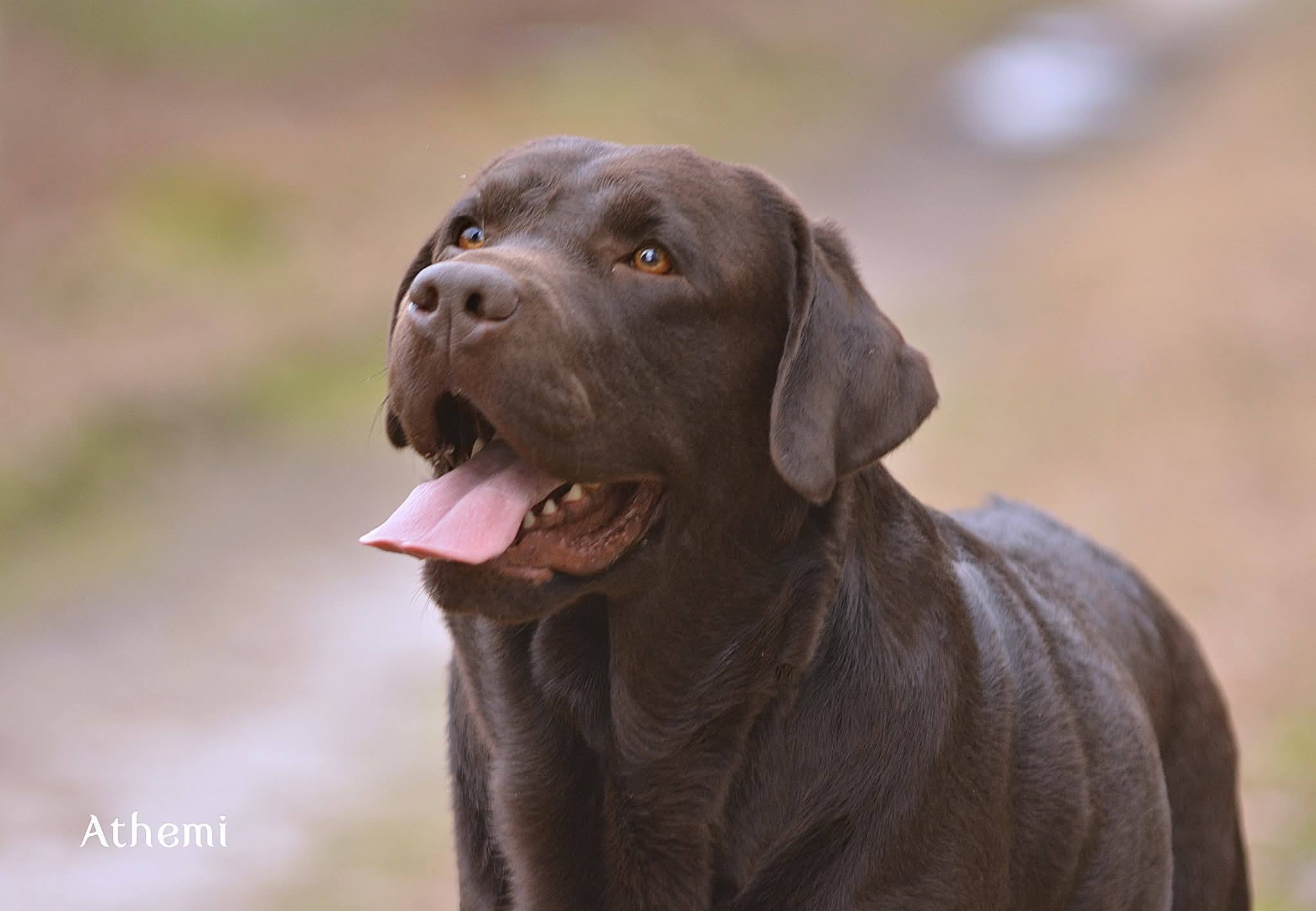 Future Hope of Benison