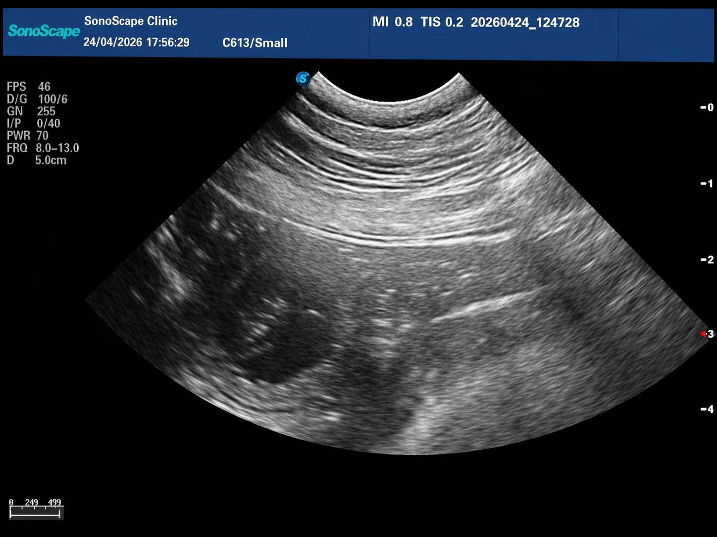 Štěňata labradora – ilustrační
